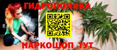 гидра Ставрополь