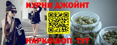 гидра Ставрополь