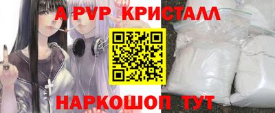 гидра Ставрополь