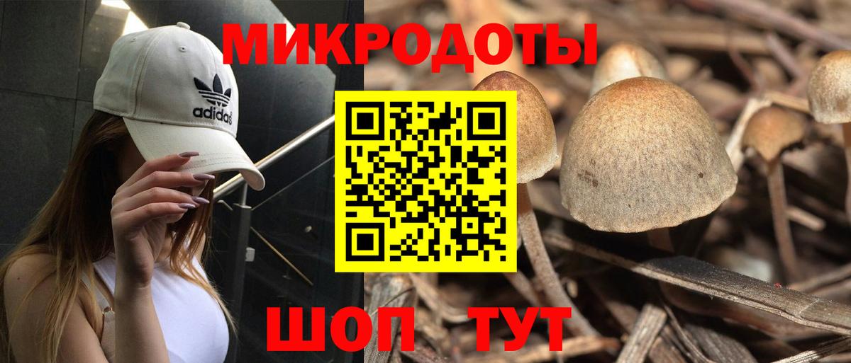Псилоцибиновые грибы прущие грибы  Вход с VPN  Нефтекумск 