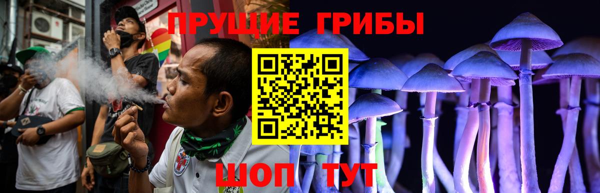 Псилоцибиновые грибы Cubensis Нефтекумск